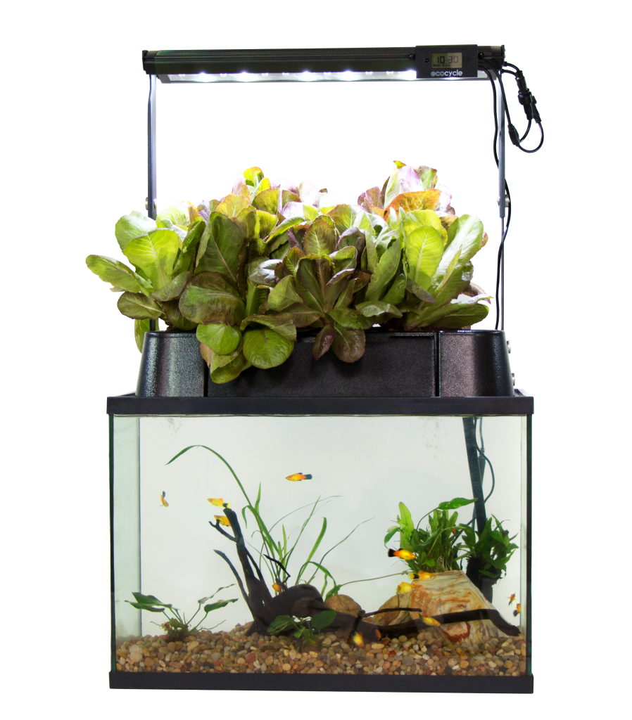 ECO-Cycle Aquaponics Kit